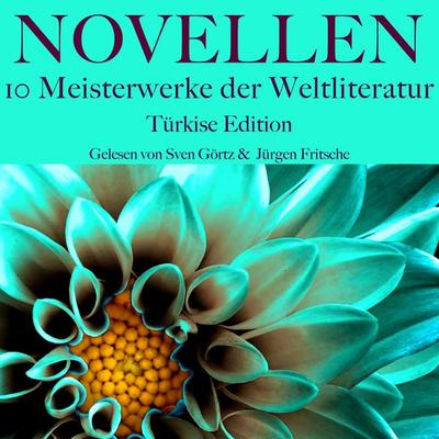 Novellen: Zehn Meisterwerke der Weltliteratur - Anton Pawlowitsch Tschechow,Joseph Conrad,Leo N. Tolstoi,Heinrich Kleist,Franz Kafka, Audio,
