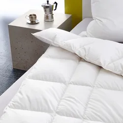 Häussling Daunendecke Select multi low leicht, Füllung: 100 Gänsedaune 155x220 cm