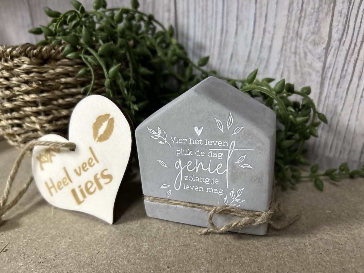 Creaties van Hier Cement House Pluk de dag met houten hartje - 8 cm
