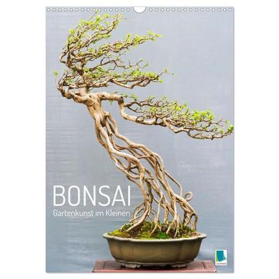 Bonsai: Gartenkunst im Kleinen (Wandkalender 2027 DIN A3 hoch), CALVENDO Monatskalender