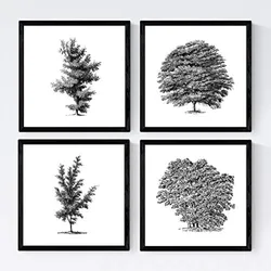 POSTER Set mit 4 Bädern Bäume variierten weißer Hintergrund 20x20cm Schwarzer Rahmen