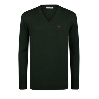 V-Ausschnitt-Pullover FELIX HARDY "Pullover mit V-Ausschnitt", Herren, Gr. L, grün, 100% Baumwolle, V-Ausschnitt, Pullover