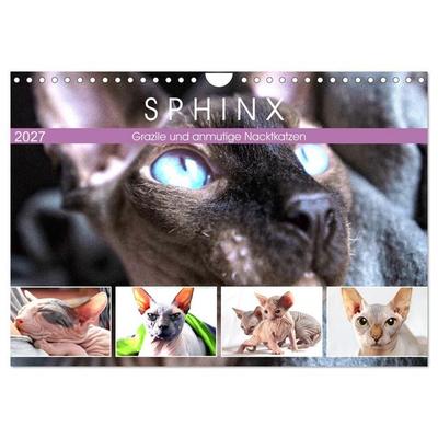 Sphinx. Grazile und anmutige Nacktkatzen (Wandkalender 2027 DIN A4 quer), CALVENDO Monatskalender