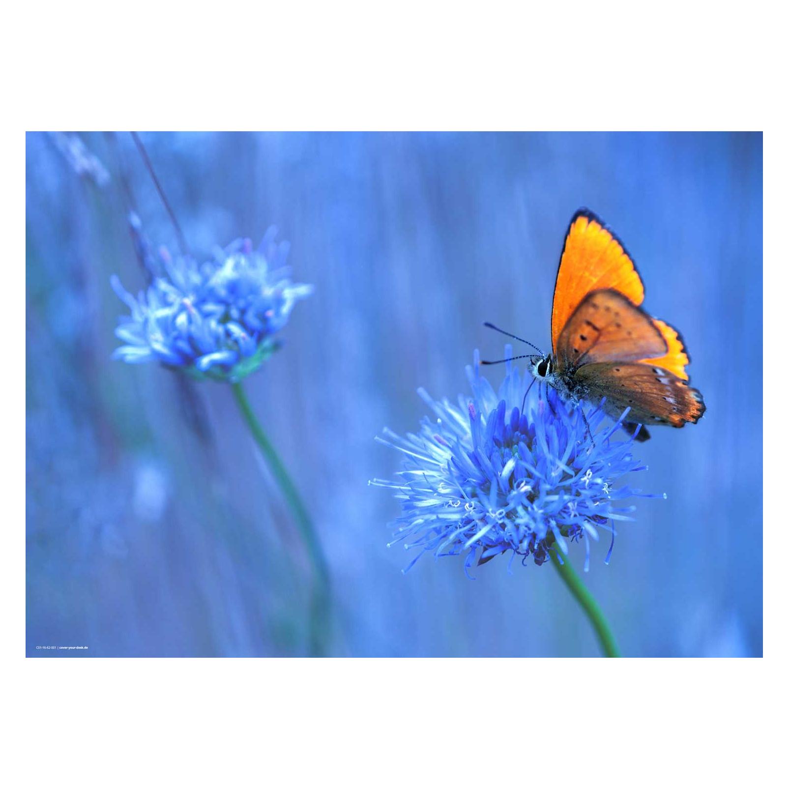 CoverYourDesk Schreibtischunterlage Orangener Schmetterling (21557232)