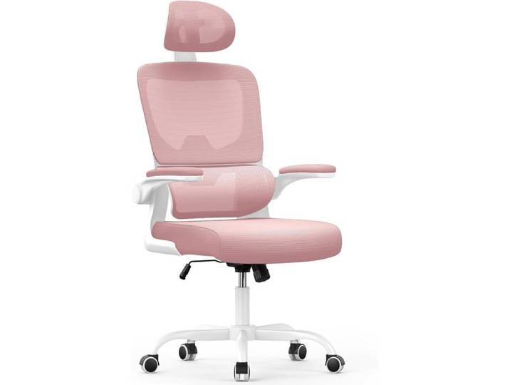 Chaise de Bureau Ergonomique avec Support Lombaire - Dossier et Appui-Tête Réglables - Siège en Maille Respirante