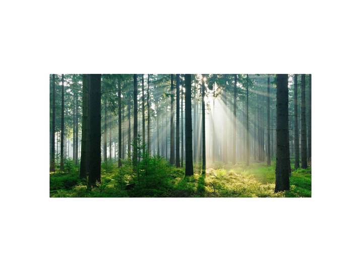 Magnettafel Enlightened Forest Stahl, lackiert & Vinyl-Spezialfolie Rückseitige Aufhängungsösen Grün 78 x 37 x 2cm