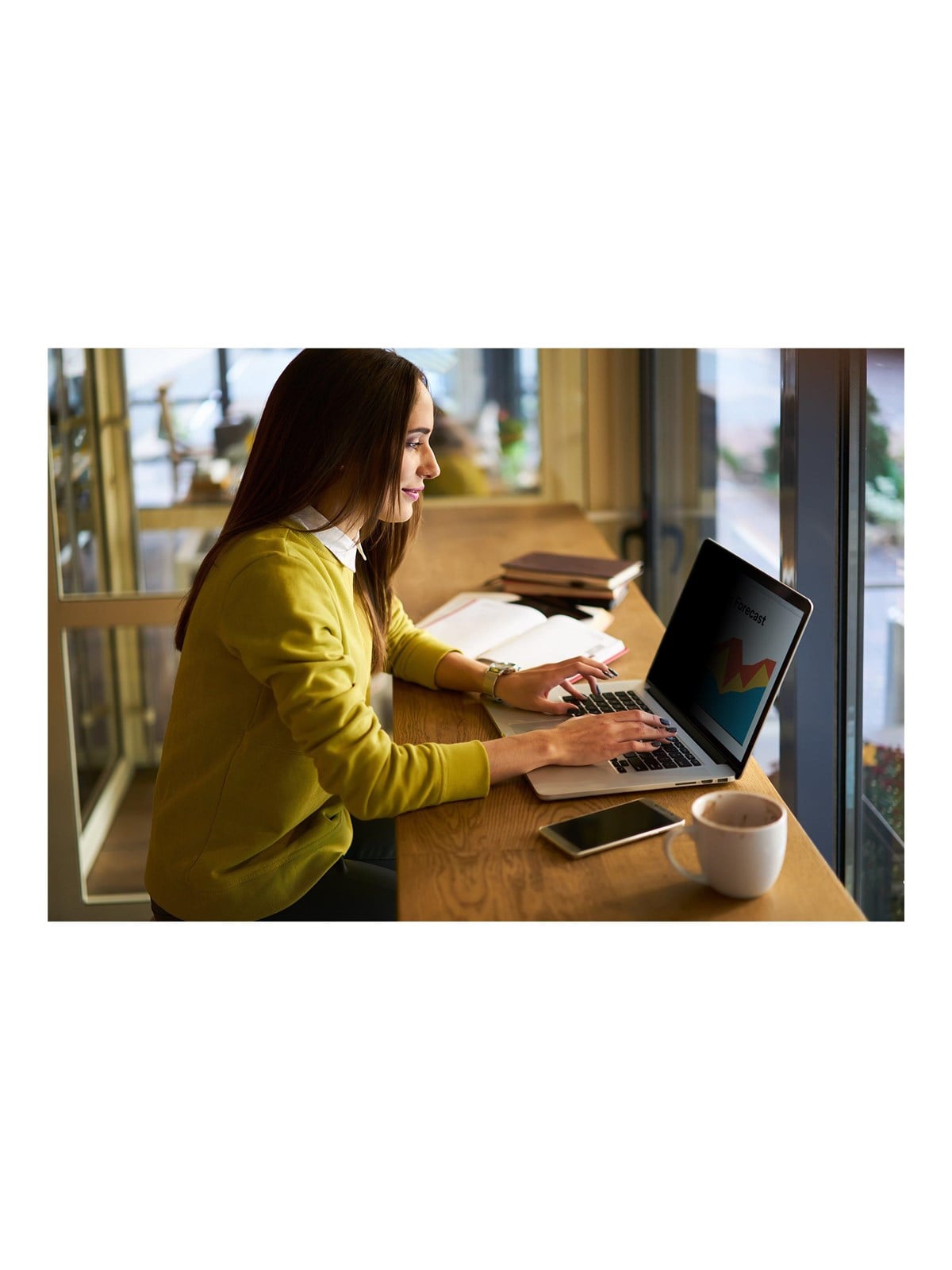 3M Bright Screen Privacy Filter - notebook privacy filter - bright screen 16:10