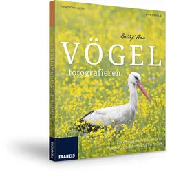 Vögel fotografieren