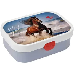 BROTDOSE Campus Wild Horse 700 ml