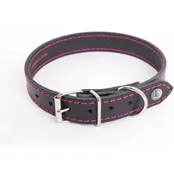Martin Sellier Flash (Hund), Halsband + Leine