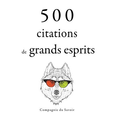 500 citations de grands esprits - Charles Baudelaire,His Holiness the Dalai Lama,Laozi,Carl Jung,Martin Luther King, Audio, 9782821155121