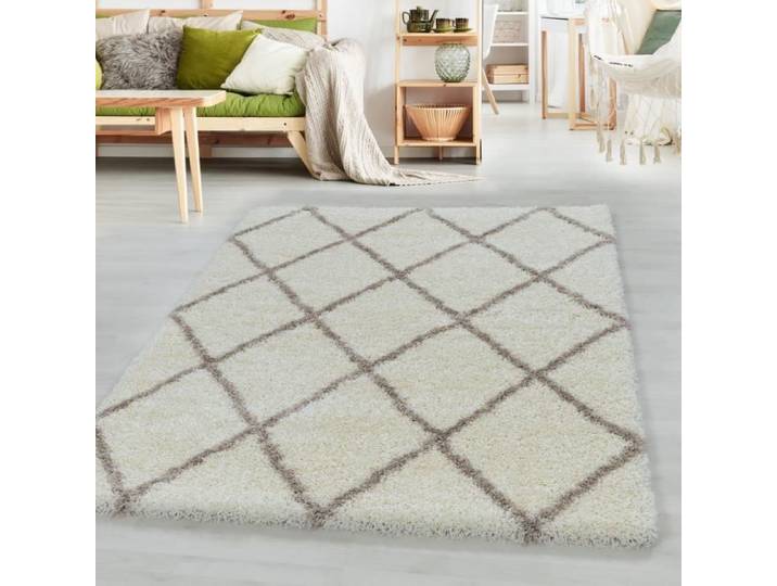 Tapis Shaggy ALVA - SIMPEX - Tapis de salon - Beige - 120 x 170 cm - Polypropylène