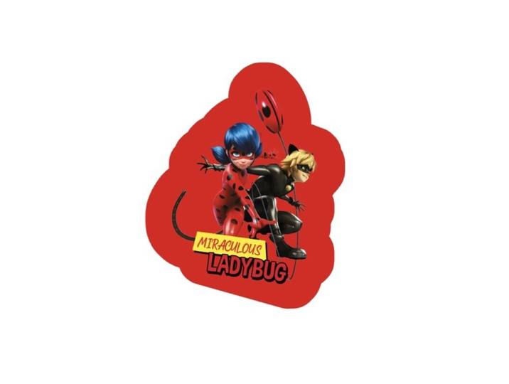 Miraculous Sierkussen Ladybug en Cat Noir