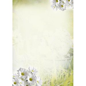 Böttcher-AG Briefpapier marg, Margeriten, A4, 90 g/m², 50 Blatt