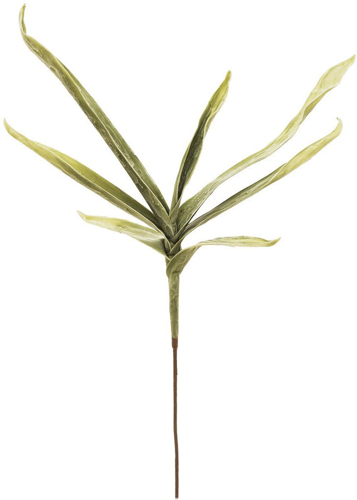 Europalms Yuccazweig (Eva), Grün