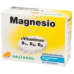 Vallesol Magnesio B Efervescente 24comp