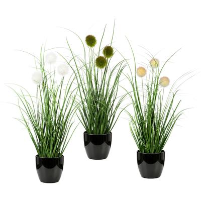 Kunstgras OTTO HOME "Grasbusch, naturgetreue Kunstpflanze, 35cm hoch", grün (grün, schwarz), H:35cm Ø:7,5cm, Kunststoff, Kunstpflanzen, im 3 teiligen Set, mit Übertopf wahlweise in schwarz oder weiß