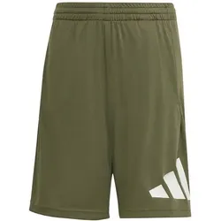 ADIDAS Kinder Shorts TRAIN ESSENTIALS BIG LOGO SHORTS, Größe 164 in Grün Grün