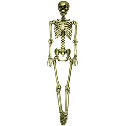 Metamorph Goldenes Skelett – Halloweendeko 90 cm
