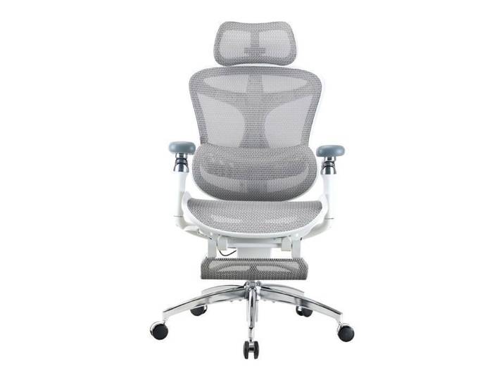 SIHOO Doro C300 Chaise de Bureau Ergonomique avec Soutien Lombaire Dynamique avec Repose-pieds Blanc