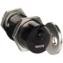Schneider Electric LV833190SP Ronis 1 identischer Schlüssel, mit Schlüssel EL24135
