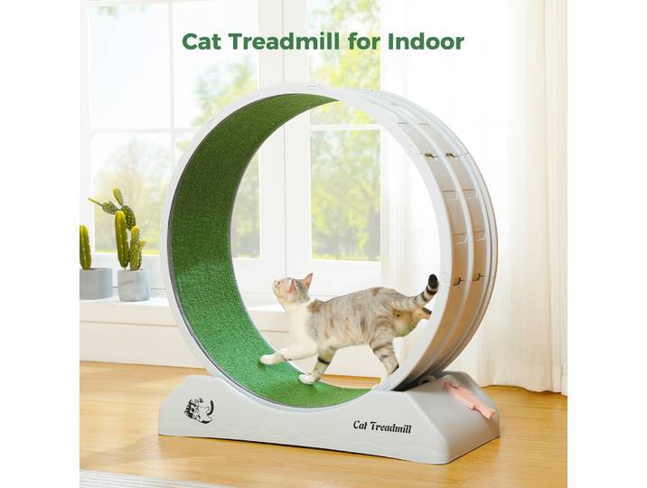 Tapis roulant pour chats d'intérieur, grande roue d'exercice pour chat avec piste tapis amovible, roue de sécurité pour chat avec serrure, jouets pour chat