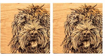 Selbrae House Just Slate Company Set of 2 Cockapoo Oak Coasters