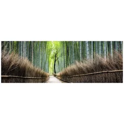 Lipo, Bilder, DCP 155x53 Der Weg (156 x 54 cm)