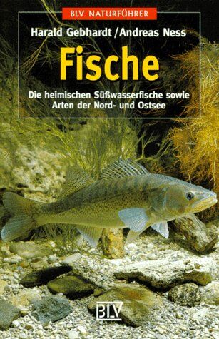 Harald Gebhardt - Fische. Die heimischen Süßwasserfische sowie Arten der Nord- und Ostsee - Preis vom 14.10.2026 23:07:16 h