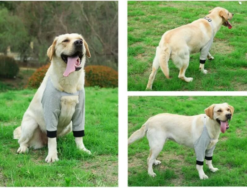INF Schutz-Beinlinge für Hunde - Atmungsaktive Gelenkunterstützung XXL