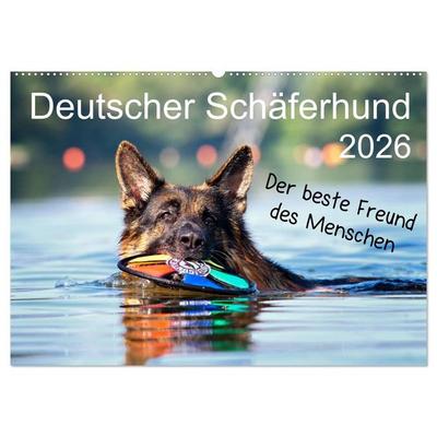 Deutscher Schäferhund - Der beste Freund des Menschen (Wandkalender 2026 DIN A2 quer), CALVENDO Monatskalender