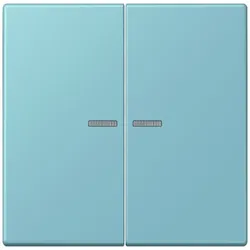 Jung Wippe mit Lichtleiter LC 102 KO5 213