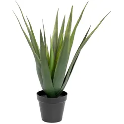 EUROPALMS Aloe-Vera Pflanze, Kunstpflanze, 60cm
