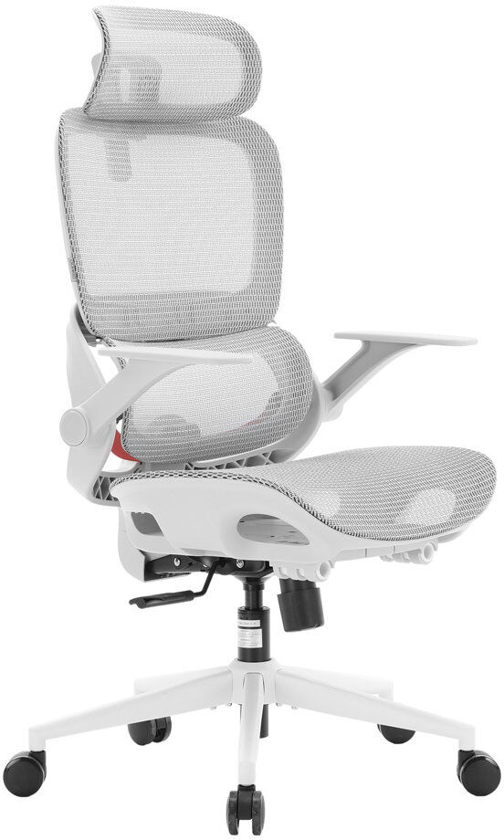 Brayden Studio B100 Lite Ergonomic Office Chair   Adaptive Dynamic Lumbar Support, Extra Wide Headrest, Flip-Up Armrests, 90-135° Tilt Lock & Breathable Mesh Desk Ch White/White 70cm W X 72cm D