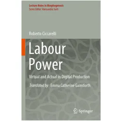 Ciccarelli:Labour Power, Fachbücher von Roberto Ciccarelli