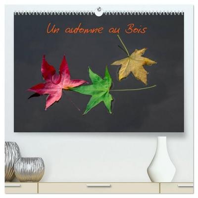 Un automne au Bois (Calendrier mural 2026 DIN A2 vertical) calendrier de bureau
