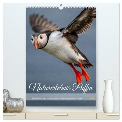 Naturerlebnis Puffin (hochwertiger Premium Wandkalender 2027 DIN A2 hoch), Kunstdruck in Hochglanz