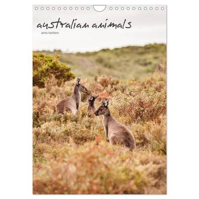 australian animals (Wandkalender 2026 DIN A4 hoch), CALVENDO Monatskalender