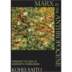 Kohei Saito, Fachbücher von Kohei Saito