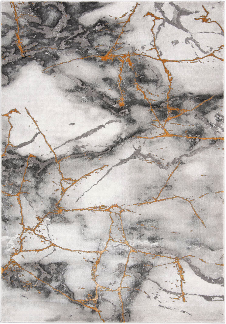 Ivy Bronx Ahanu Abstract Area Rug Gray Rectangle 122 x 183cm