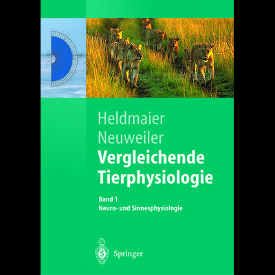 Vergleichende Tierphysiologie, Taschenbuch von Gerhard Heldmaier,Gerhard Neuweiler, Springer Berlin, 978-3-642-62924-2