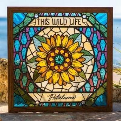 This Wild Life: Petaluma - This Wild Life, CD