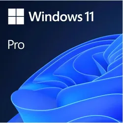 Microsoft Windows 11 Pro (EN) für Windows