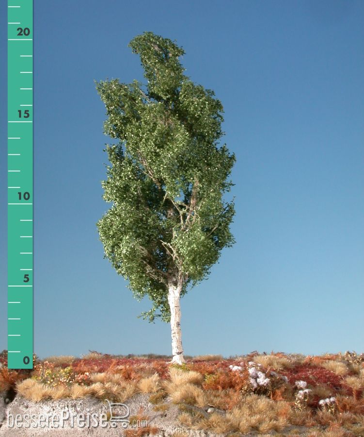 Silhouette 215-12