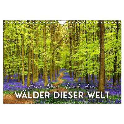 Eine Reise durch die Wälder dieser Welt (Wandkalender 2027 DIN A4 quer), CALVENDO Monatskalender