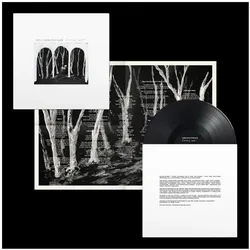 Domino Records, Schallplatten, CROOKED WING (POST) (DLCD) (These New Puritans)