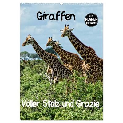 Giraffen. Voller Stolz und Grazie (Wandkalender 2026 DIN A2 hoch), CALVENDO Monatskalender