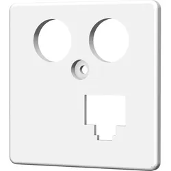 HomeWay Zentralplatte TV + LAN (rechts) 50x50mm rw