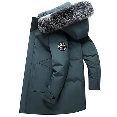 Herren Daunenjacke Gepolstert Sports Outdoor Winter Polyester warm Windundurchlässig Atmungsaktiv Wasserdicht Regular Fit Blau-Grün Grün Grau Schwarz Weste