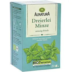 Alnatura Bio Kräutertee »Dreierlei Minze« - 20 Beutel grün
